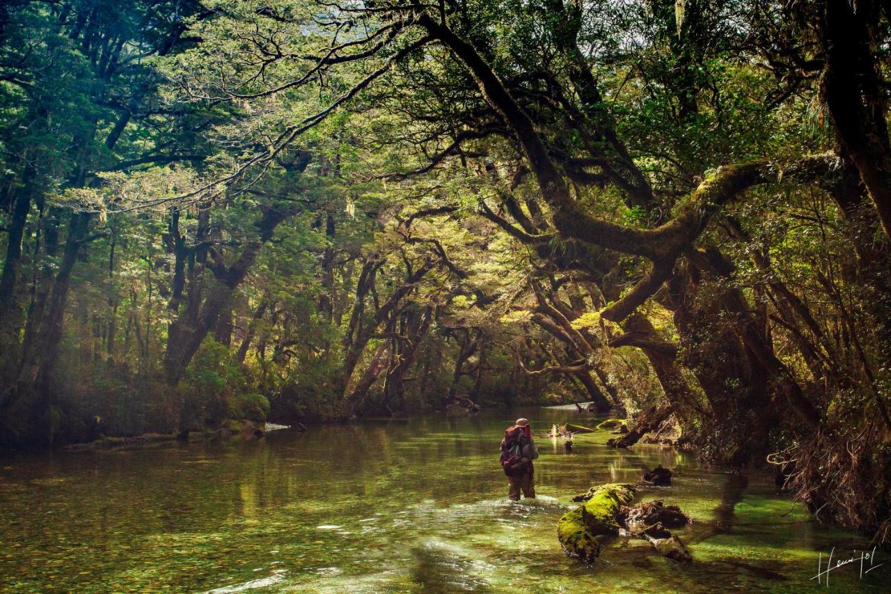 Hermoso Eco Lodge サンマルティン エクステリア 写真