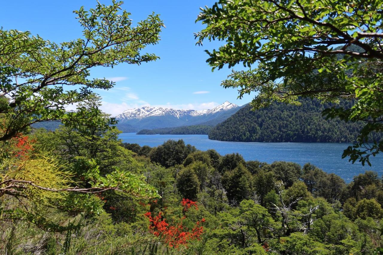 Hermoso Eco Lodge サンマルティン エクステリア 写真